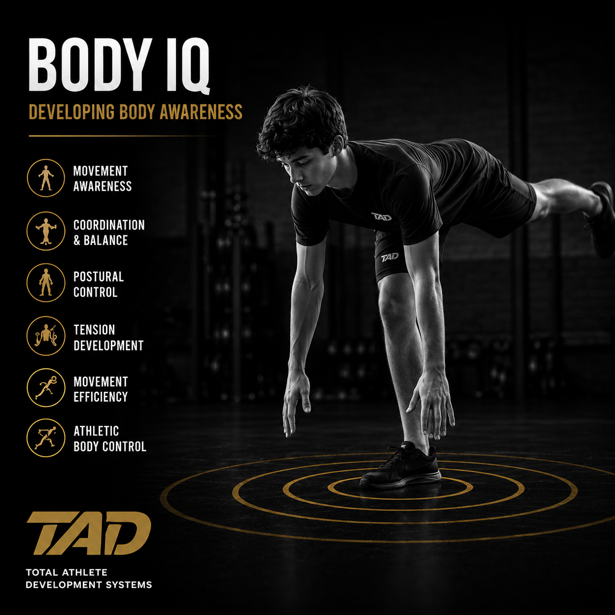 Body IQ