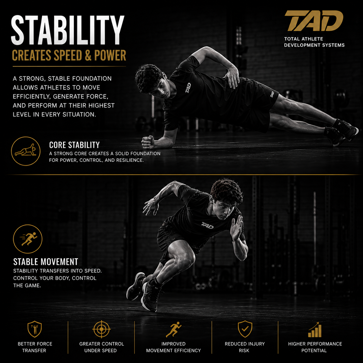 Stability
